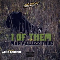 1 Of Them (feat. Marvaluzz Thug) - Single - MrVillin