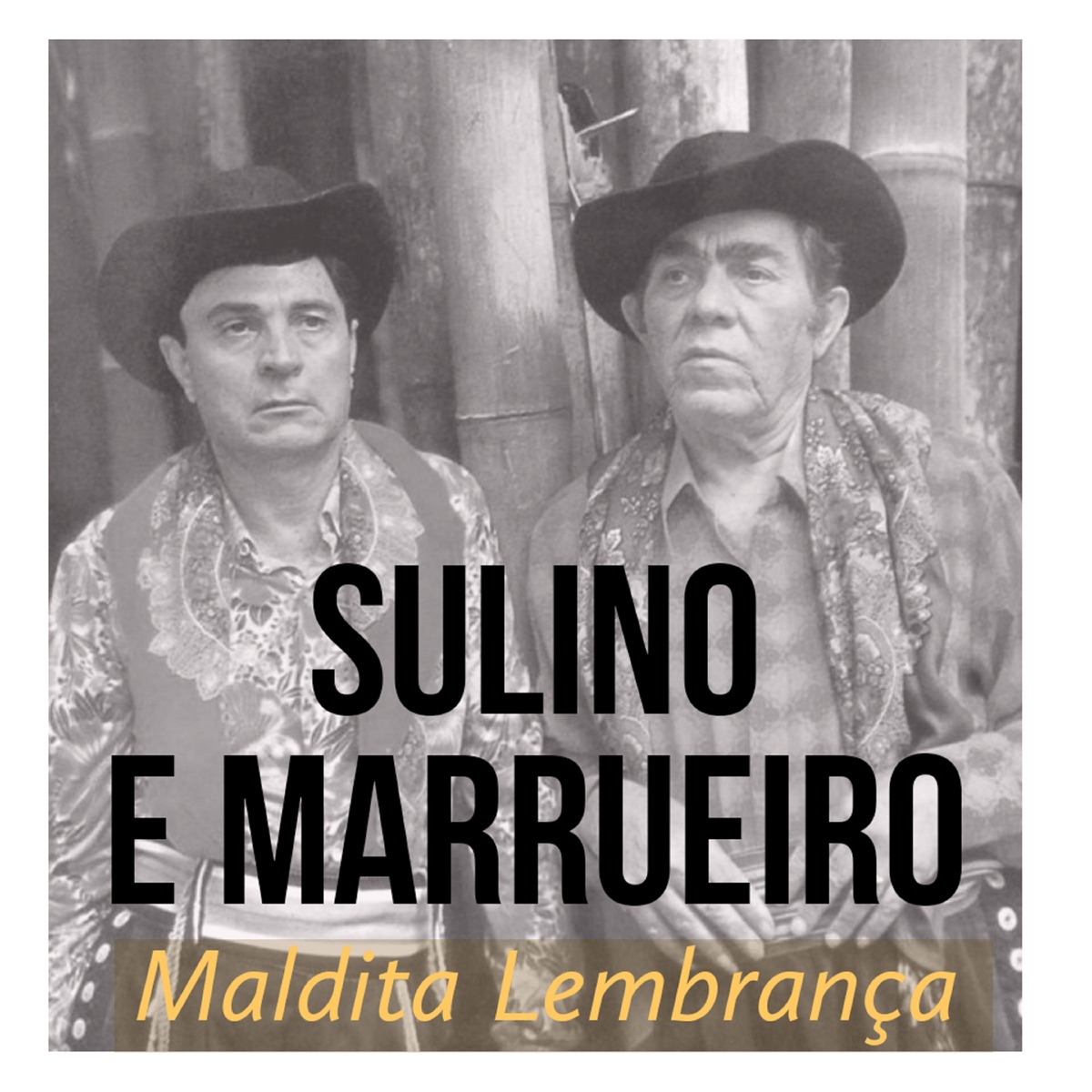 Sulino & Marrueiro — Apple Music