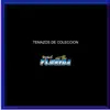 tropical florida quien diria