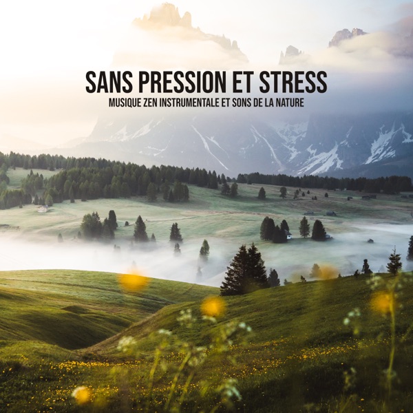 Sans pression et stress: Musique zen instrumentale et sons de la nature