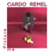 Sick of It All (feat. Tinchy Stryder) - Cardo Remel lyrics