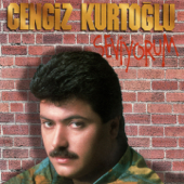 Seviyorum - Cengiz Kurtoğlu
