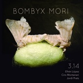 Bombyx Mori (feat. Efrén López, Ciro Montanari & Jordi Prats) artwork