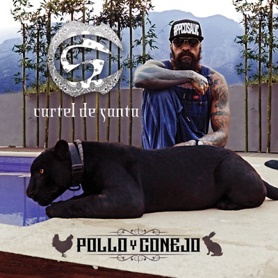 Pollo y Conejo - Single