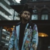 King Of The Fall by The Weeknd iTunes Track 2