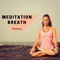 Nature Meditation - Meditway lyrics