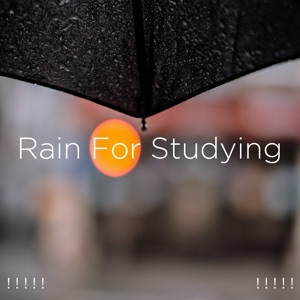 ! ! ! ! ! Rain for Studying ! ! ! ! !