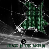 Crack in the Matrix - Single - HAZMVT