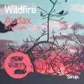 Wildfire