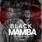 Weezy Beat - Black Mamba