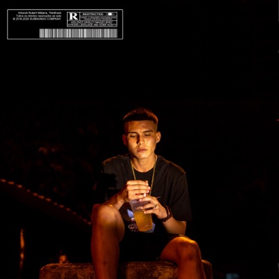 Pixadão e Protegido 2 - Single