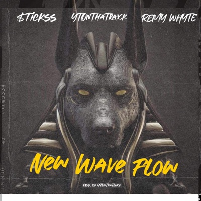 New Wave Flow (feat. $tickss X Remy Whyte) - Single