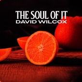 David Wilcox - The Soul of It