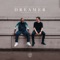 Dreamer (Brooks Remix) artwork