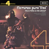 Flamenco Puro "Live" artwork