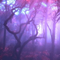 Withering - Single - Lovesickxo