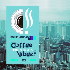 Sudamerican Flavorz (feat. Emaflu) PDN PhatBeats