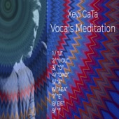 Vocals Meditation artwork