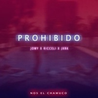 Prohibido (feat. krizray & Jxrk) - Single - Riccellii