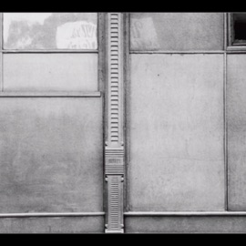 ToKolaro (feat. Pinokio, Anima & Simph0nik) Jolly Roger