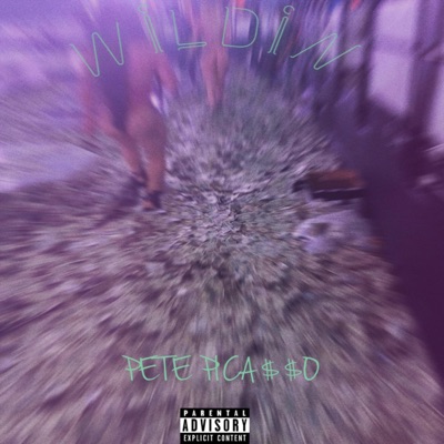 Wildin' - Single