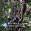 IFS-Meditationen zur Arbeit mit inneren Teilen nach Dr. Richard C. Schwartz - Richard C. Schwartz & Susan McConnell