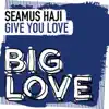 Seamus Haji - Give You Love (Extended Mix)