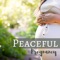 Pure Massage Music - Pregnancy Relaxation Orchestra lyrics