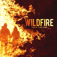 Wildfire - Single - DJ Bill-E Bob