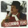 Teixeirinha Filho - A Fogueira da Saudade
