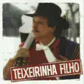 A Fogueira Da Saudade