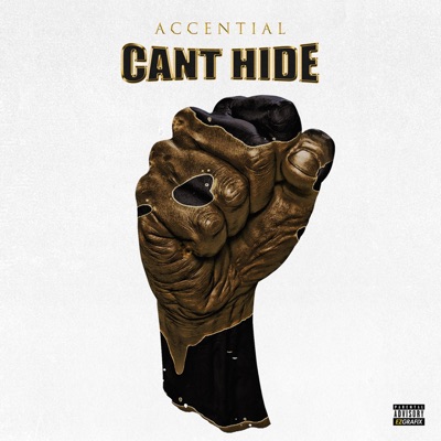Can't Hide - Single