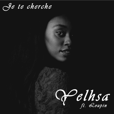 Je te cherche (feat. Loupin) - Single