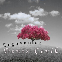 Erguvanlar