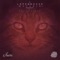 Motorik (Sascha Funke Hard House Remix) - Lopezhouse lyrics