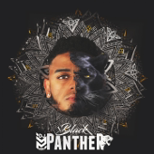 Black Panther - DJ Mimi