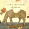 Wolves - Josh Ritter lyrics