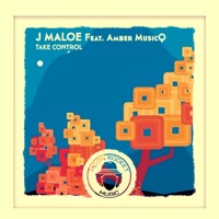 Take Control (feat. Amber MusicQ) - Single - J Maloe