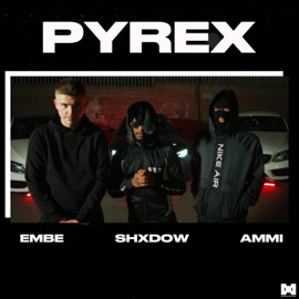 Pyrex embe, Ammi & Shxdow