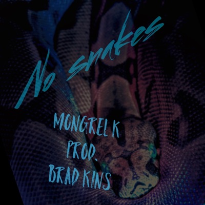 No Snakes - Single