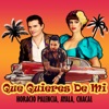 Que Quieres de Mi (feat. Chacal) - Single
