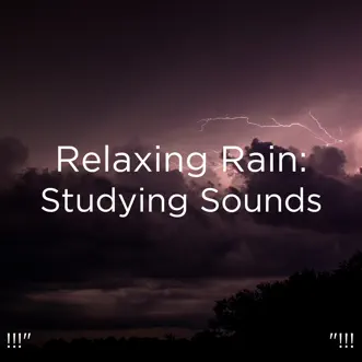 Cosy Ambience by Meditation Rain Sounds, Relaxing Rain Sounds & BodyHI song reviws