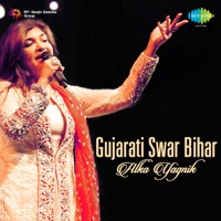 Alka Yagnik - Koi Kahe Tene Kaheva Daiye