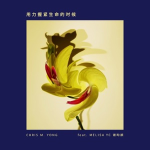 用力握紧生命的时候 (feat. Melisa YC谢昀赪)