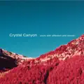 Crush You