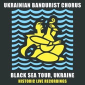 Ukrainian National Anthem (Live) artwork