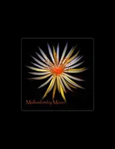 Gary Dozier을(를) 듣고, 뮤직 비디오를 보고, 약력을 읽고, 투어 일정 등을 확인하세요!