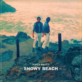 White Rabbit (feat. Bryson Wallace) James Wavey