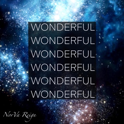 Wonderful Wonderful - Single