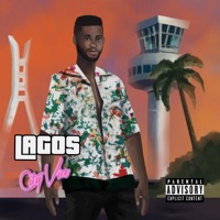 Lagos City Vice - EP - WANI